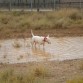 dia en el "barro"